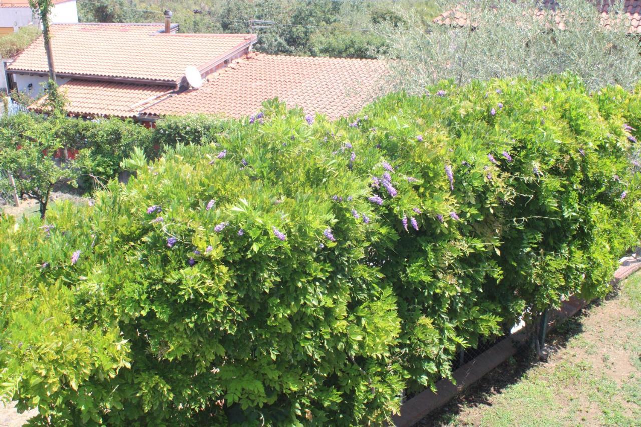 Villa Sicilia Apartment CTA Exteriör bild
